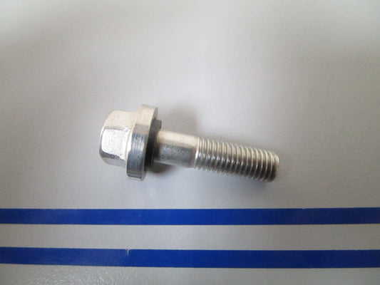NEW OEM 313563 0313563 OMC Johnson Evinrude Screw 0810