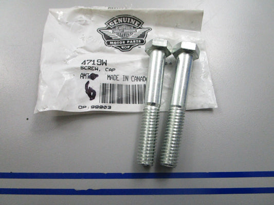 *NEW OEM* (LOT OF 2) 0810 Harley Davidson Hexagon Cap Screw 4719W