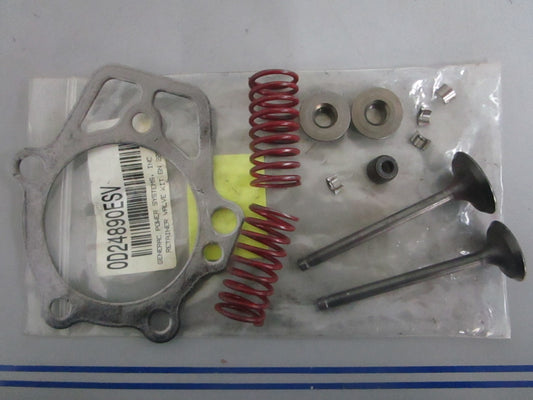 NEW OEM 0D24890ESV Generac Retainer Valve Kit 0820