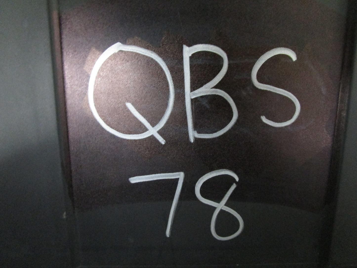 *NEW* (LOT OF 10) 0810 Eiko Miniature Lamps 1157