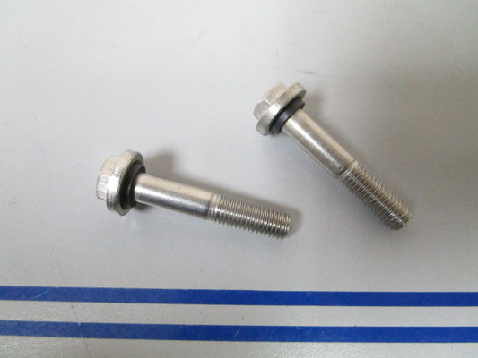 *NEW OEM* (LOT OF 2) 0810 OMC Johnson Evinrude Lower Bearing Screw 0332590