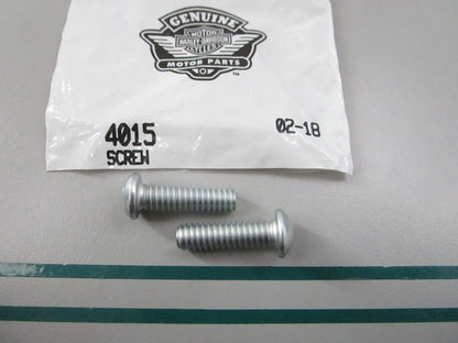 NEW OEM (LOT OF 2) 4015 Harley Davidson Screw 0810