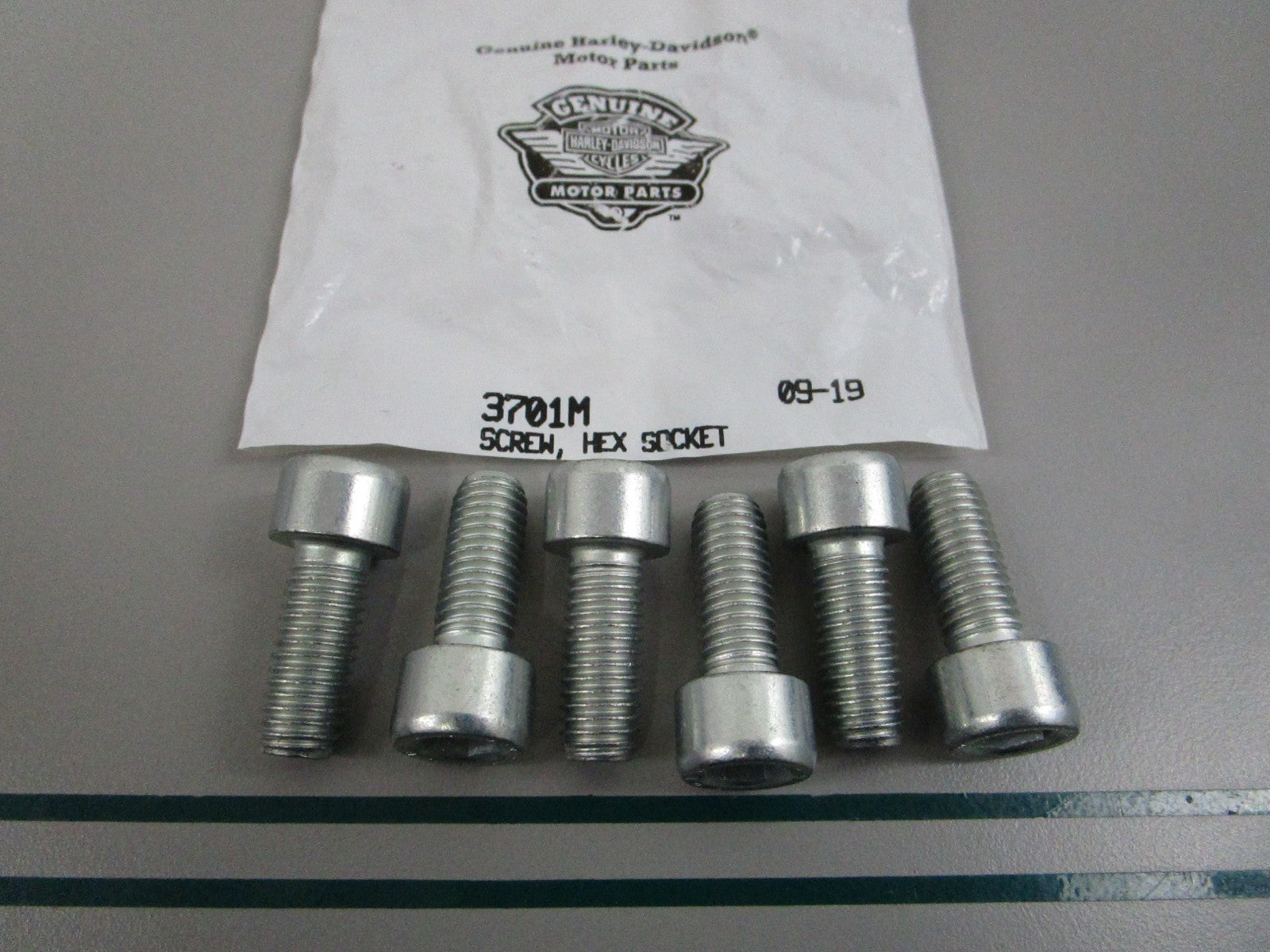 NEW OEM (LOT OF 6) 3701M Harley Davidson Hex Socket Screw 0810
