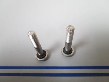*NEW OEM* (LOT OF 2) 0810 OMC Johnson Evinrude Lower Bearing Screw 0332590