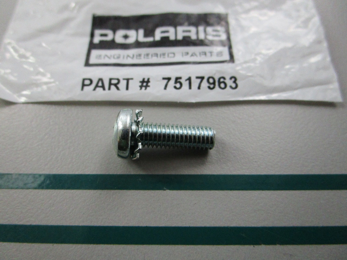 NEW OEM 7517963 Polaris Screw 0810