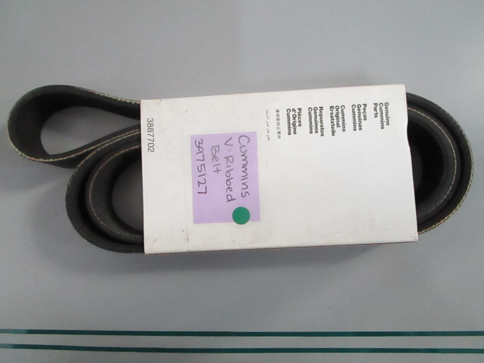 NEW OEM 3975127 Cummins V-Ribbed Belt 0820