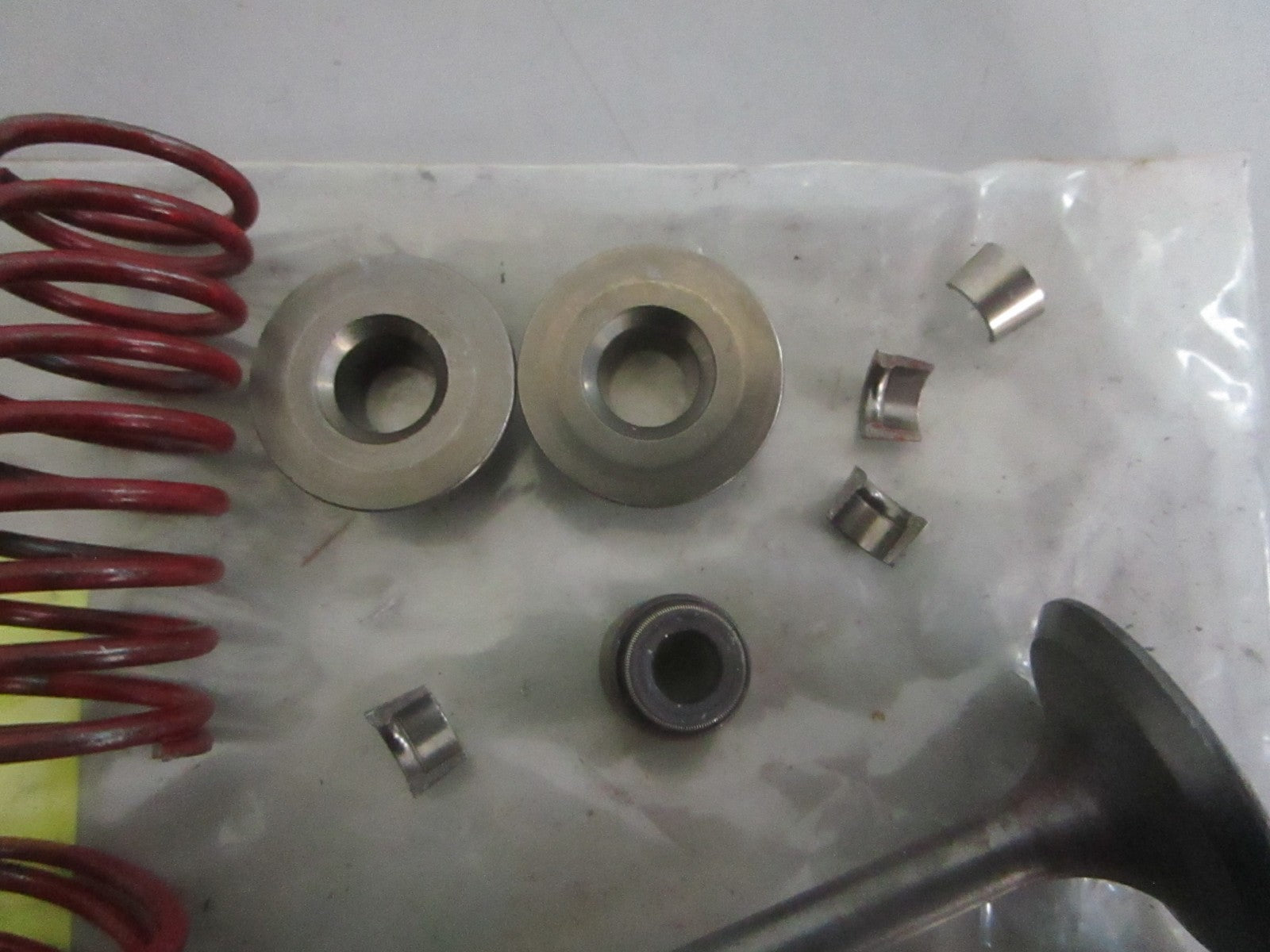 NEW OEM 0D24890ESV Generac Retainer Valve Kit 0820