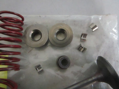 NEW OEM 0D24890ESV Generac Retainer Valve Kit 0820