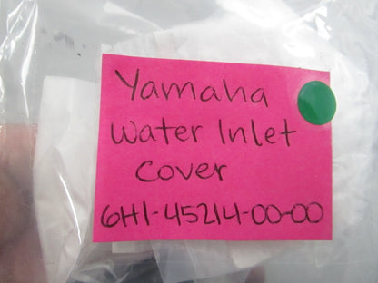 NEW OEM 6H1-45214-00-00 Yamaha Water Inlet Cover 0810