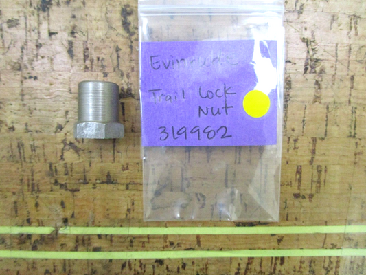 *NEW OEM* 0750 OMC Johnson Evinrude TRAIL LOCK NUT 319982 0319982