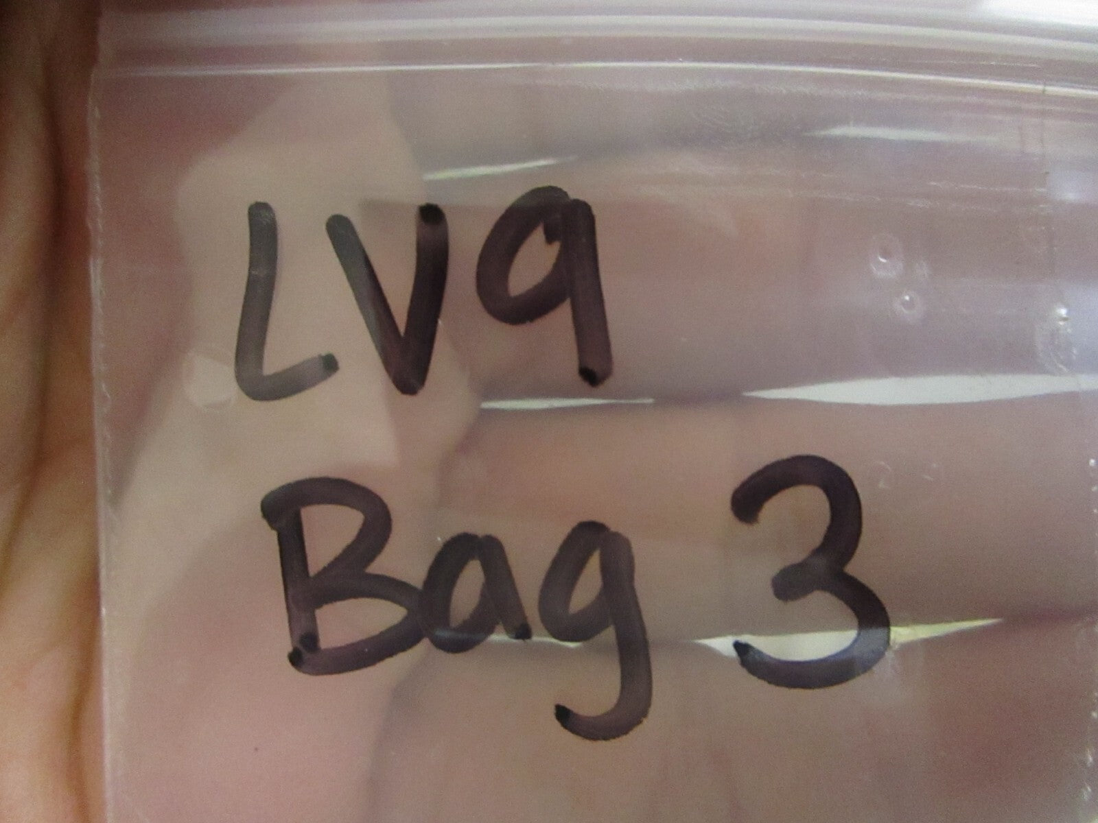 *NEW OEM* (LOT OF 5) 0750 OMC Johnson Evinrude GASKET 388879 0388879