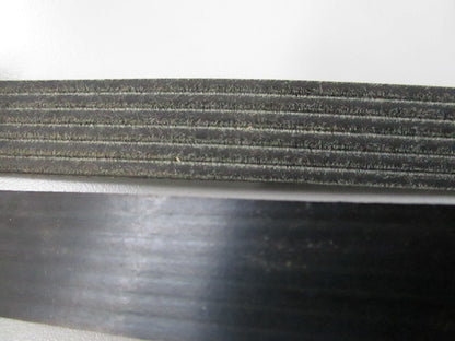 NEW 5060388 Dayco Serpentine Belt 0810