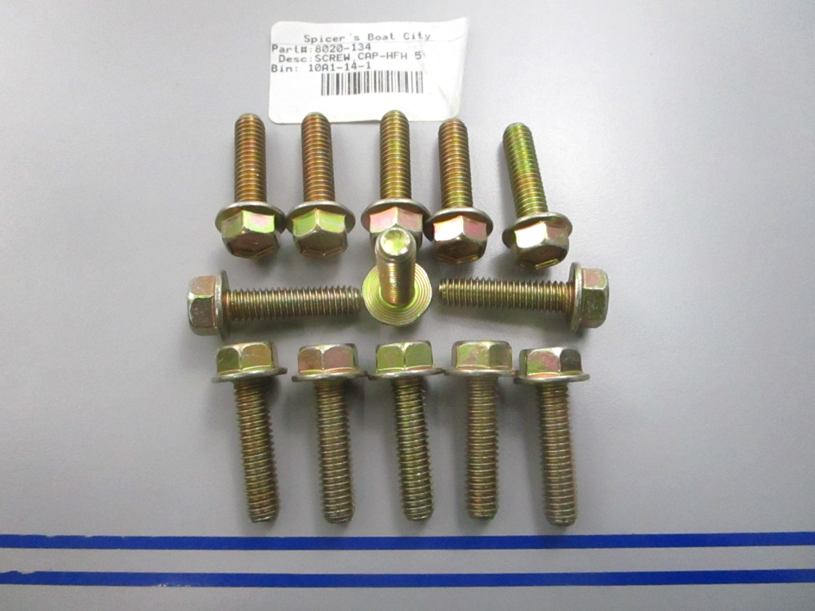 NEW OEM (LOT OF 13) 8020-134 Arctic Cat Cap Screw 0810