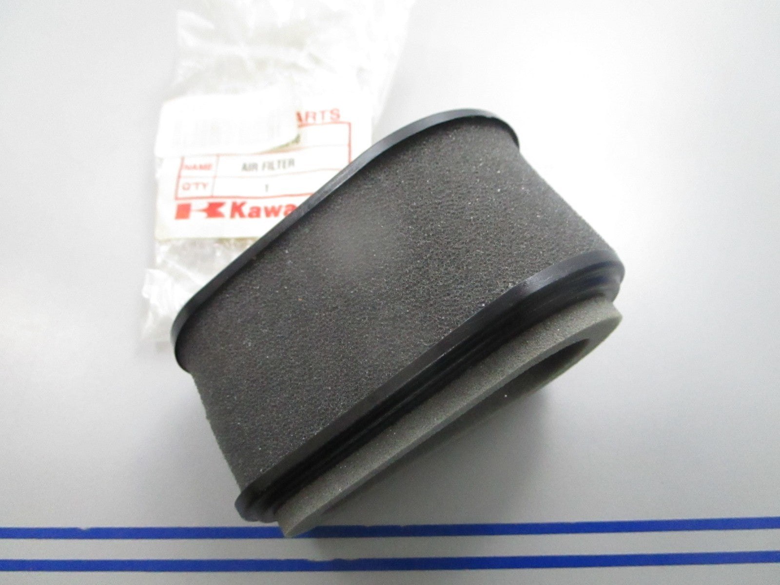 NEW OEM Kawasaki 11029-2010 Air Filter 0810