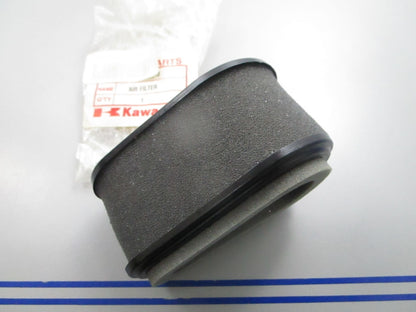 NEW OEM Kawasaki 11029-2010 Air Filter 0810