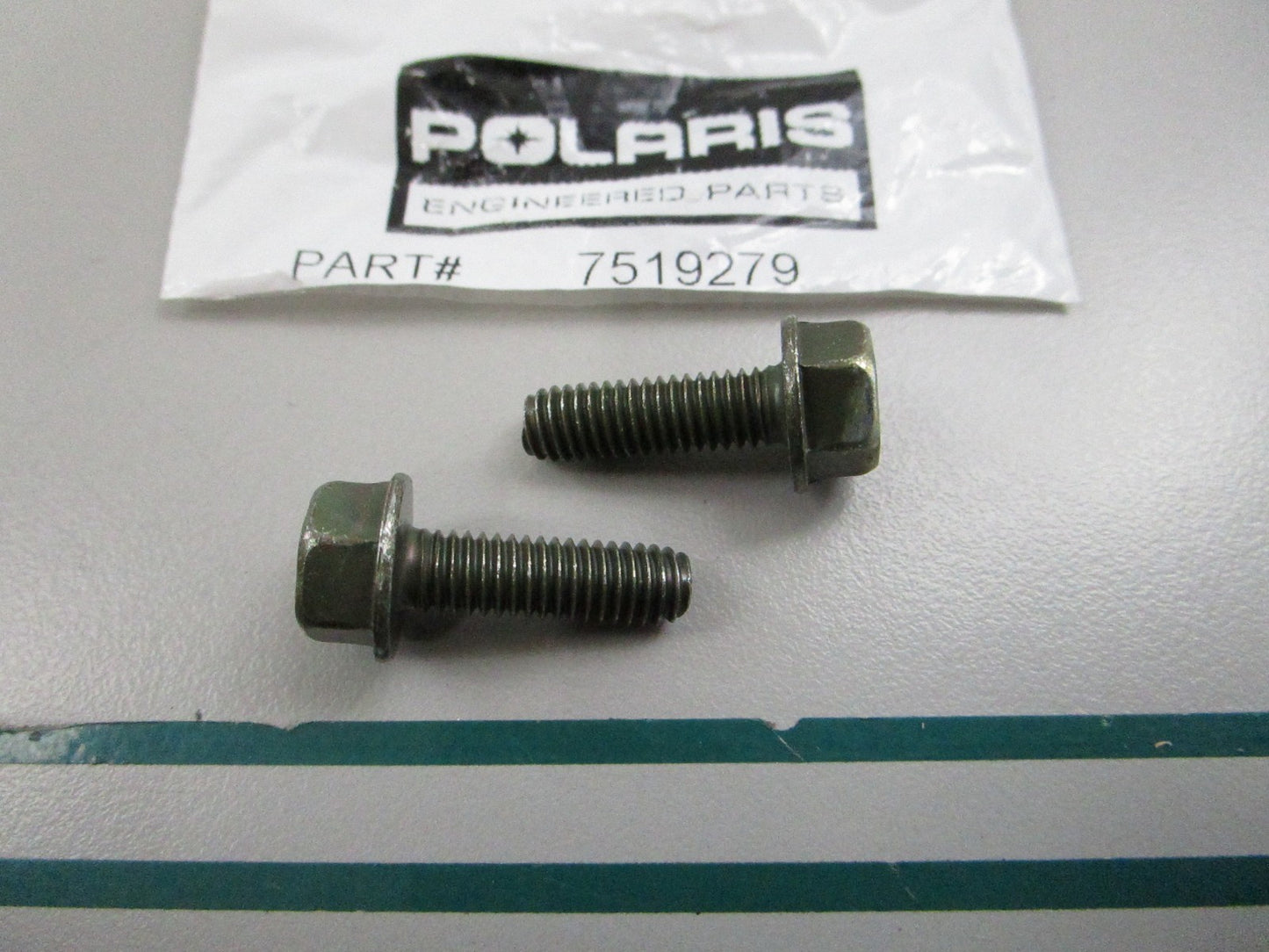 NEW OEM (LOT OF 2) 7519279 Polaris Screw 0810