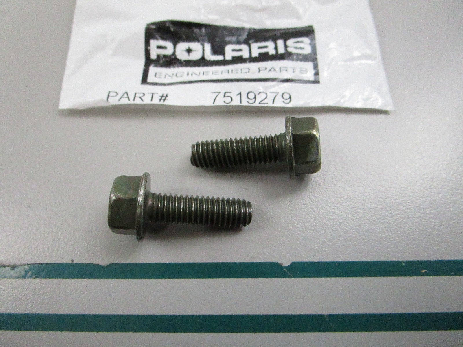 NEW OEM (LOT OF 2) 7519279 Polaris Screw 0810
