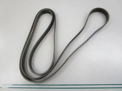 NEW 5060865 Dayco Serpentine Belt 0810