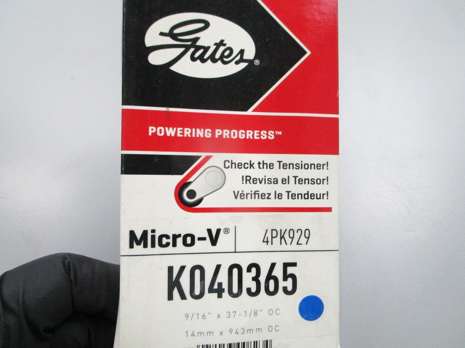 NEW K040365 Gates Micro-V Serpentine Belt 0810