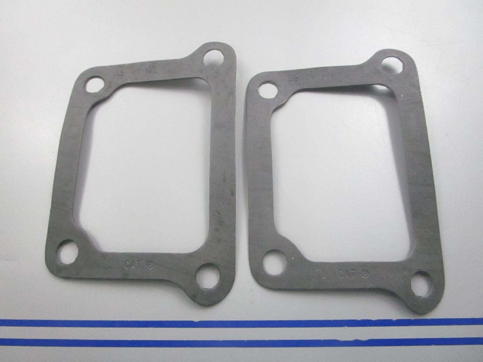 NEW OEM (LOT OF 2) 4N-1946 CAT Gasket 0810