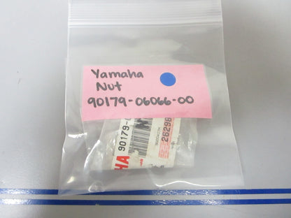 *NEW OEM* 0810 Yamaha Nut 90179-06066-00
