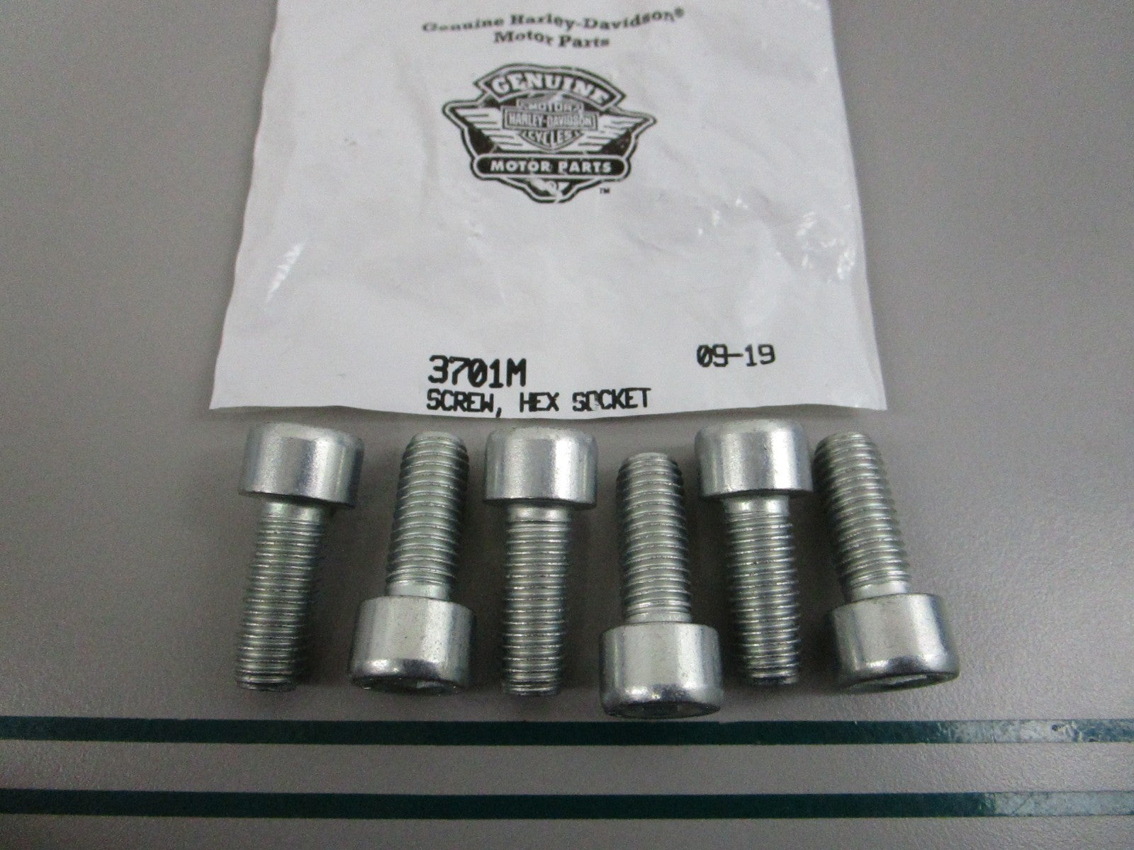 NEW OEM (LOT OF 6) 3701M Harley Davidson Hex Socket Screw 0810