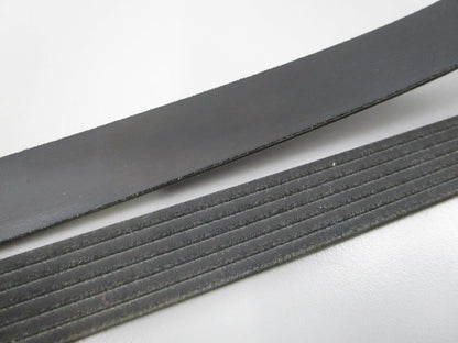 NEW 5060960 Dayco Serpentine Belt 0810