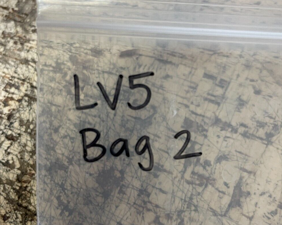 *NEW OEM* 0810 OMC Johnson Evinrude 2 Piston Ring Set 385666 0385666