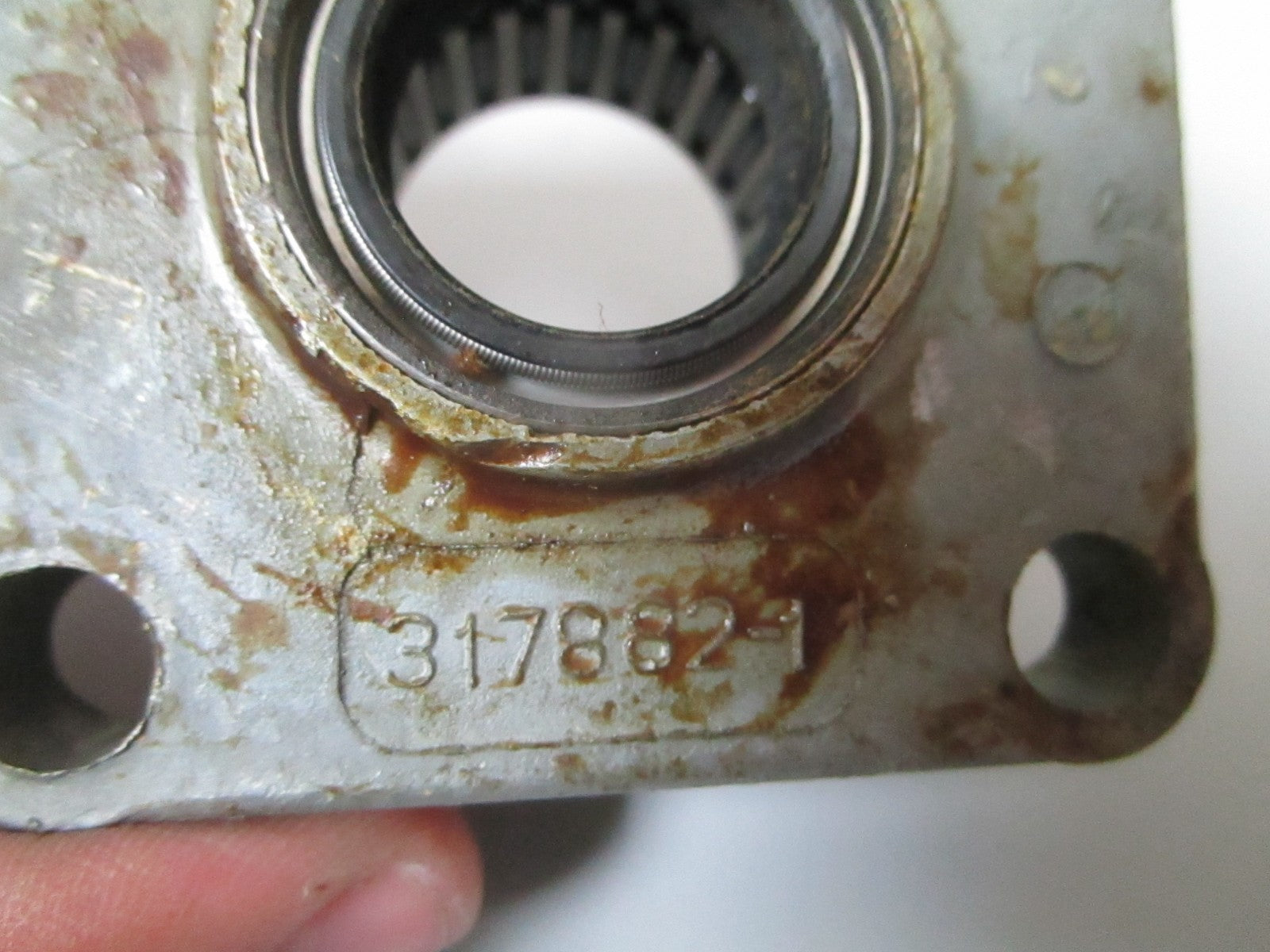 NEW OEM 317882 385556 OMC Johnson Evinrude Bearing Housing & Seal 0720