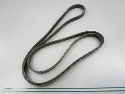 NEW 5060960 Dayco Serpentine Belt 0810
