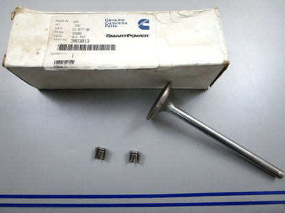 *NEW OEM* 0810 Cummins Intake Valve 3803813