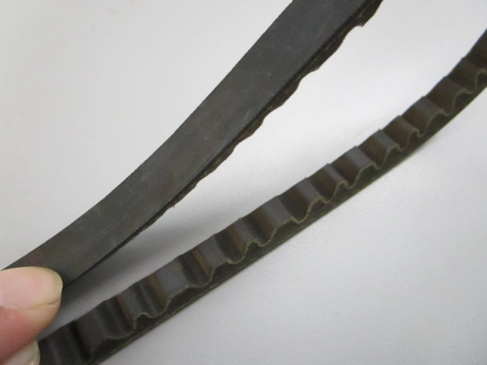 Gates 7295 Automotive XL V-Belt Notched 29.5in EPDM Accessory Drive NEW 0810