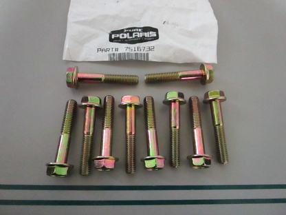 NEW OEM (LOT OF 10) 7516732 Polaris Bolt 0810