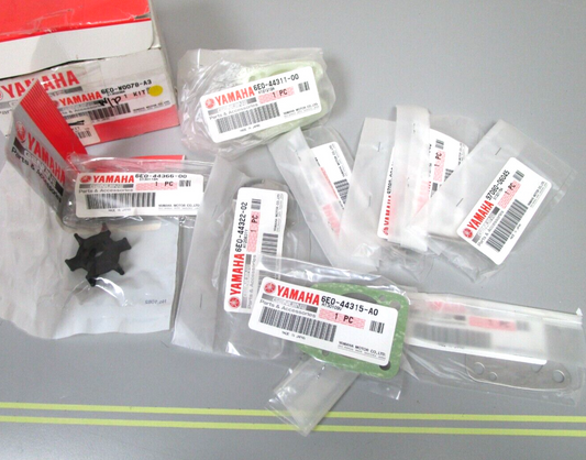 *NEW OEM* 0720 Yamaha Water Pump Repair Kit 6E0-W0078-A3-00
