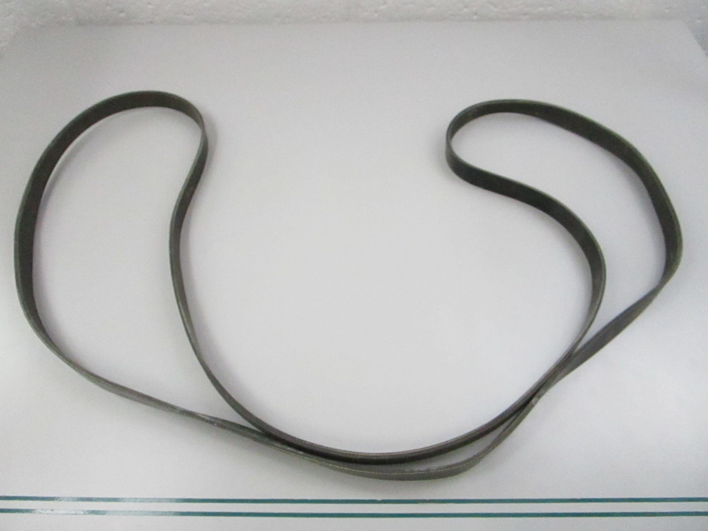 NEW 5060975 Dayco Serpentine Belt 0810