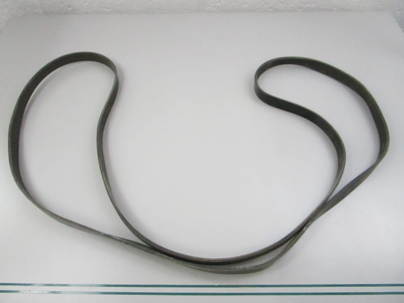 NEW 5060975 Dayco Serpentine Belt 0810
