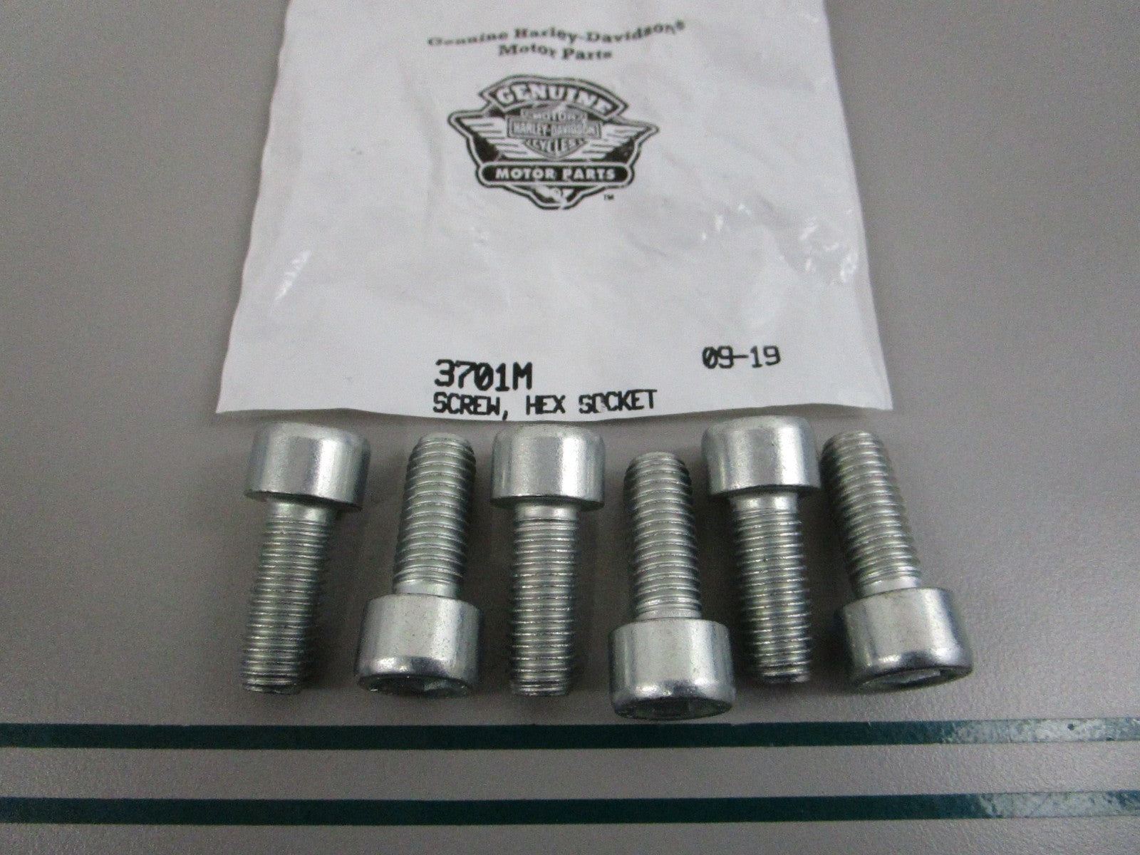 NEW OEM (LOT OF 6) 3701M Harley Davidson Hex Socket Screw 0810