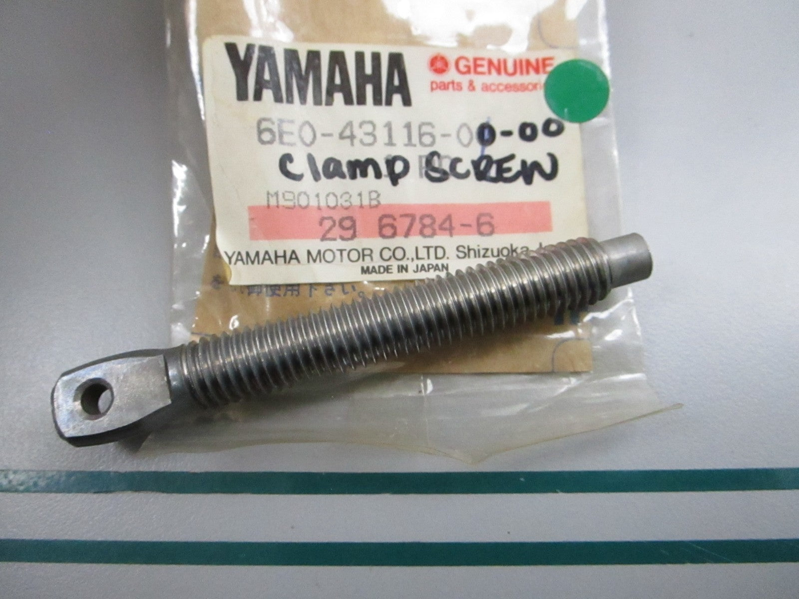 NEW OEM 6E0-43116-00-00 Yamaha Clamp Screw 0810