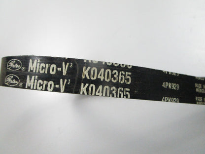 NEW K040365 Gates Micro-V Serpentine Belt 0810