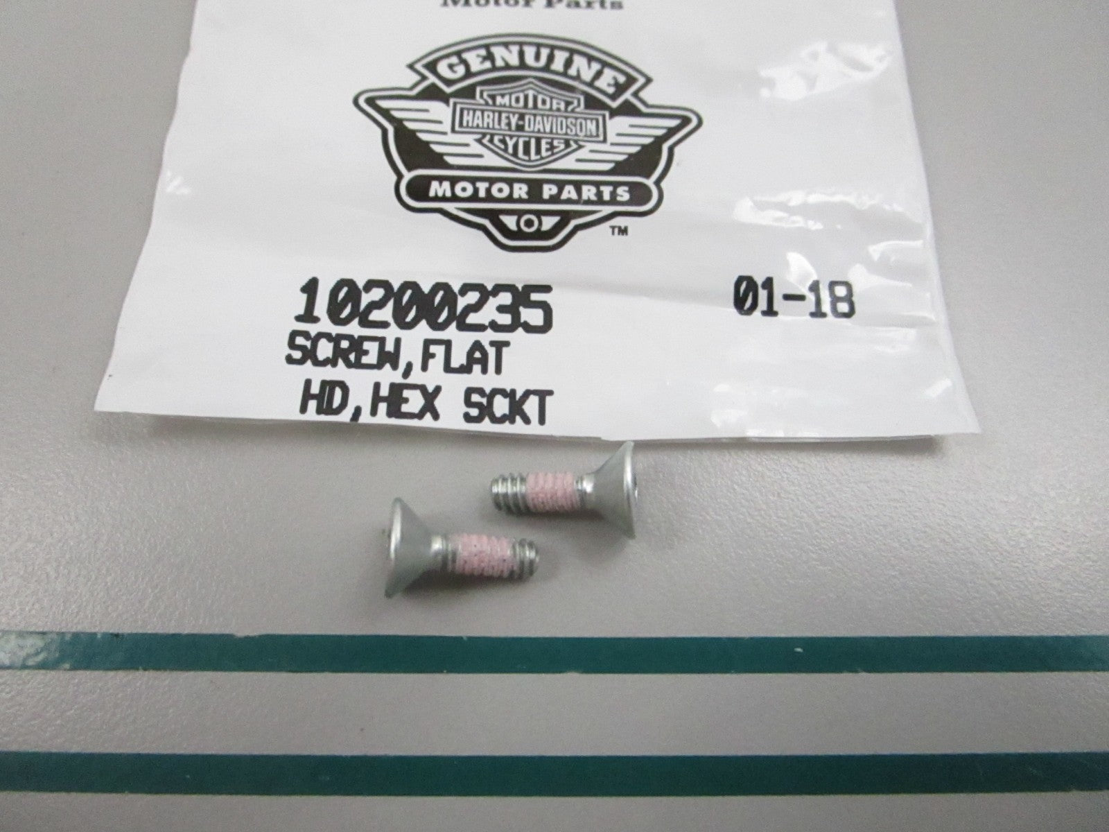 NEW OEM (LOT OF 2) 10200235 Harley Davidson Flat Screw 0810