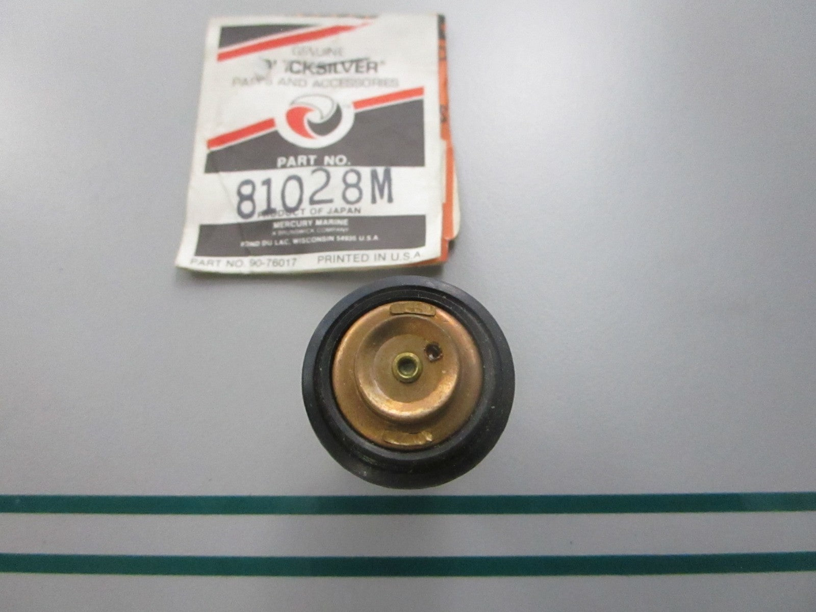 NEW OEM 81028M Mercury Quicksilver Thermostat 0810