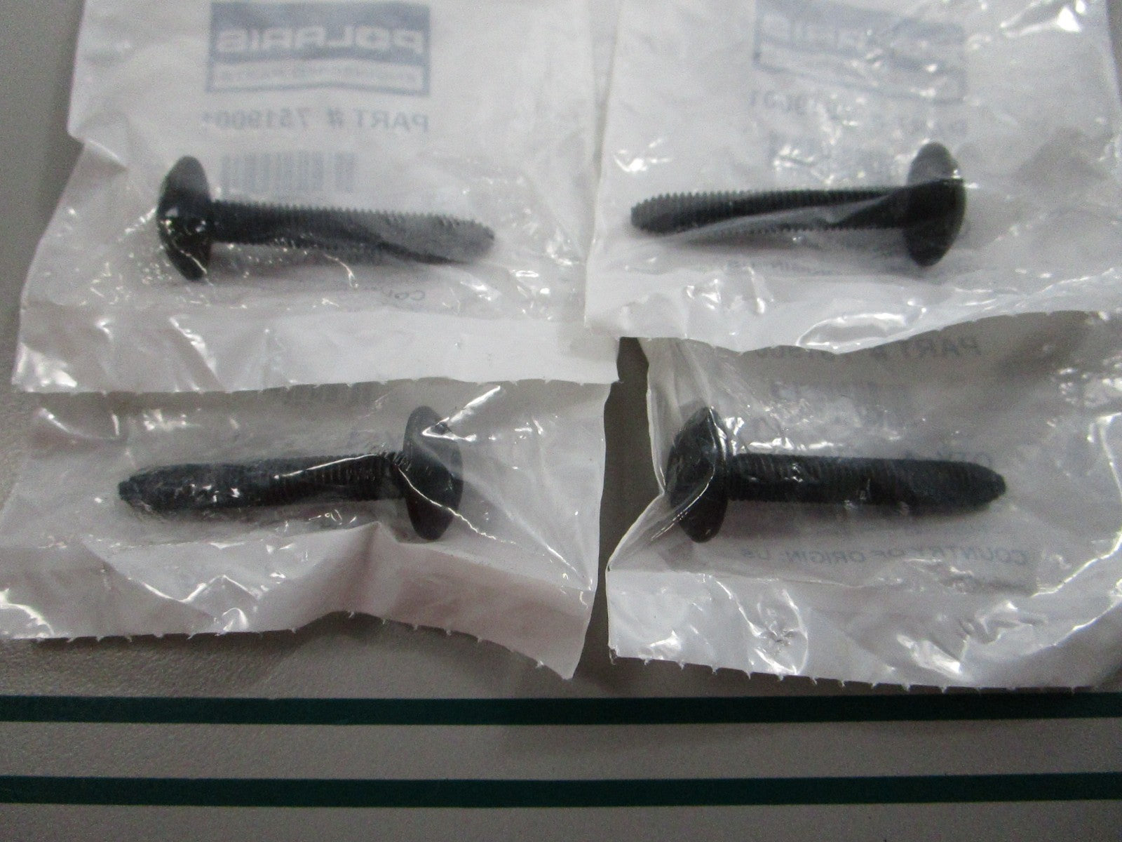 NEW OEM (LOT OF 4) 7519001 Polaris Screw 0810
