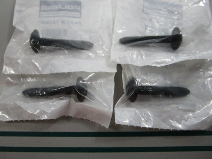 NEW OEM (LOT OF 4) 7519001 Polaris Screw 0810