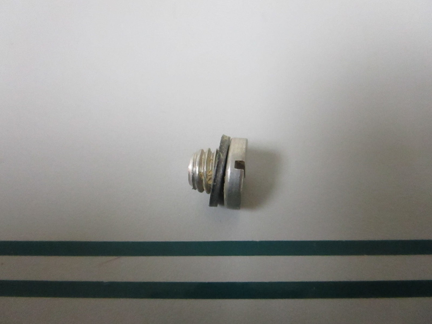 NEW OEM 307551 0307551 OMC Johnson Evinrude Drain Plug Screw 0810