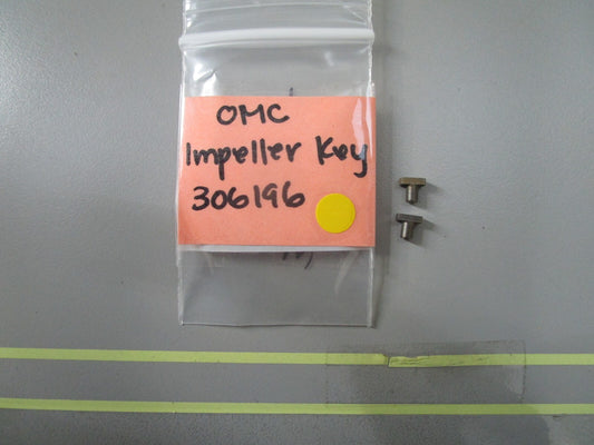 *NEW OEM* (LOT OF 2) 0810 OMC Johnson Evinrude Key 306195 0306196