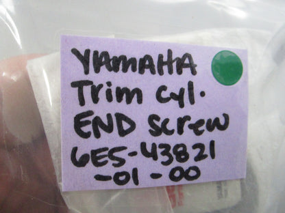 NEW OEM 6E5-43821-01-00 Yamaha Trim Cylinder End Screw 0810