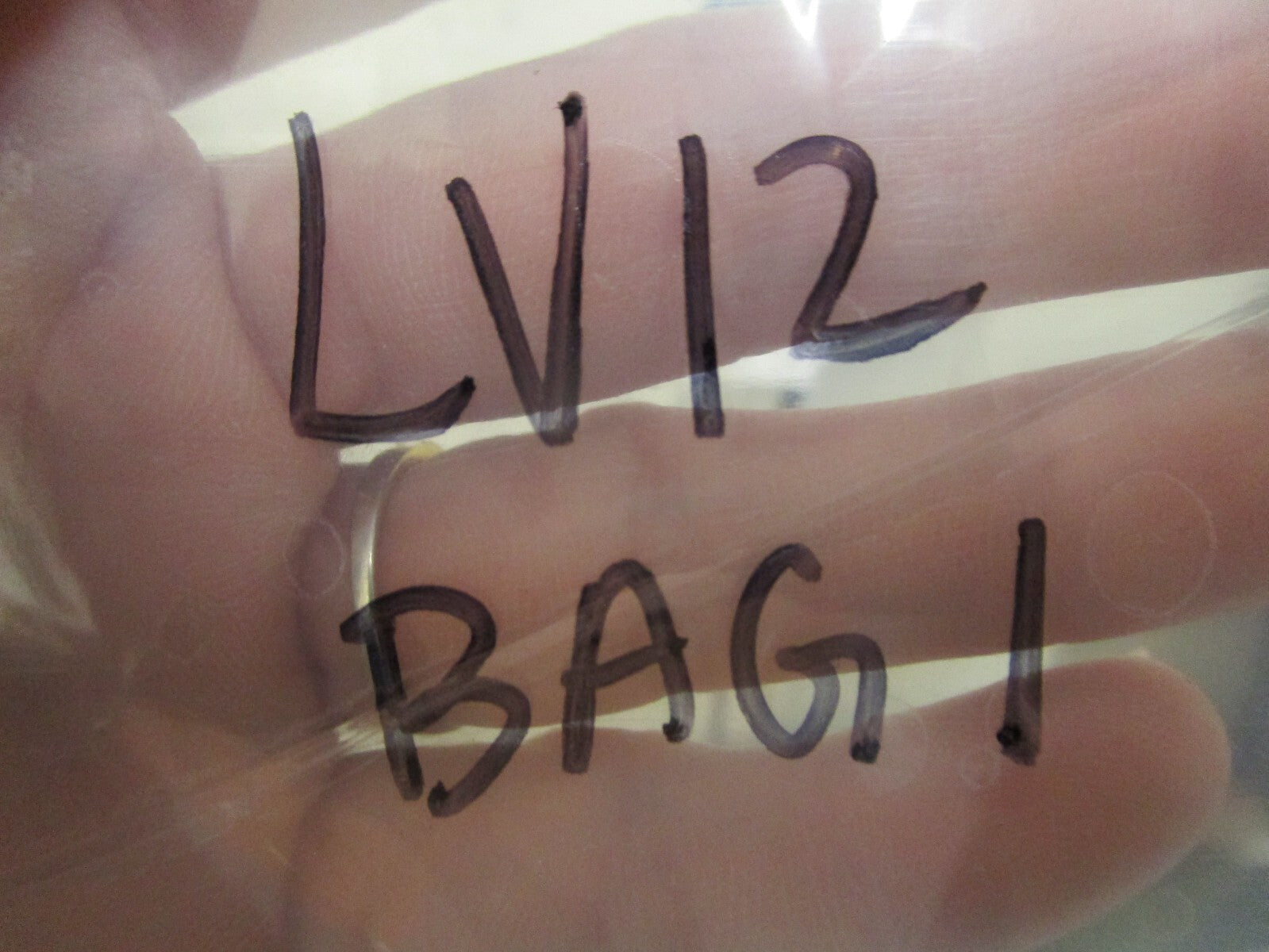 *NEW OEM* 0810 OMC Johnson Evinrude Gasket 337194 0337194