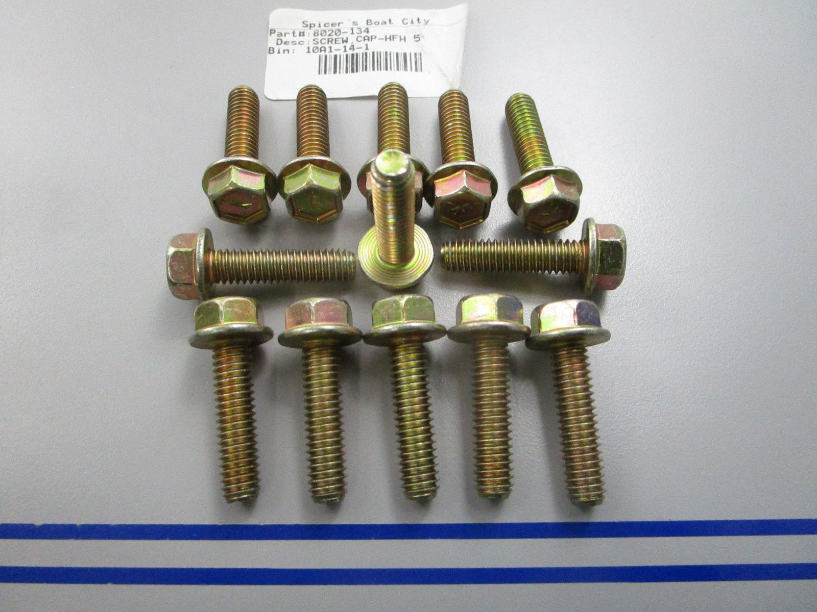 NEW OEM (LOT OF 13) 8020-134 Arctic Cat Cap Screw 0810