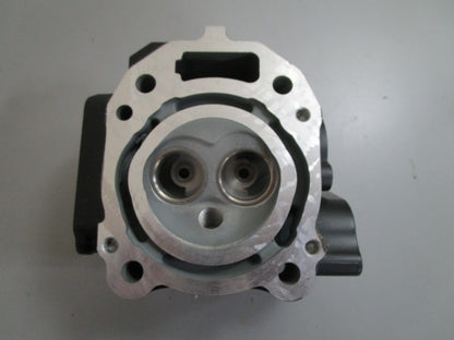 *NEW OEM* 0820 Mercury Quicksilver Cylinder Head 979-804767T