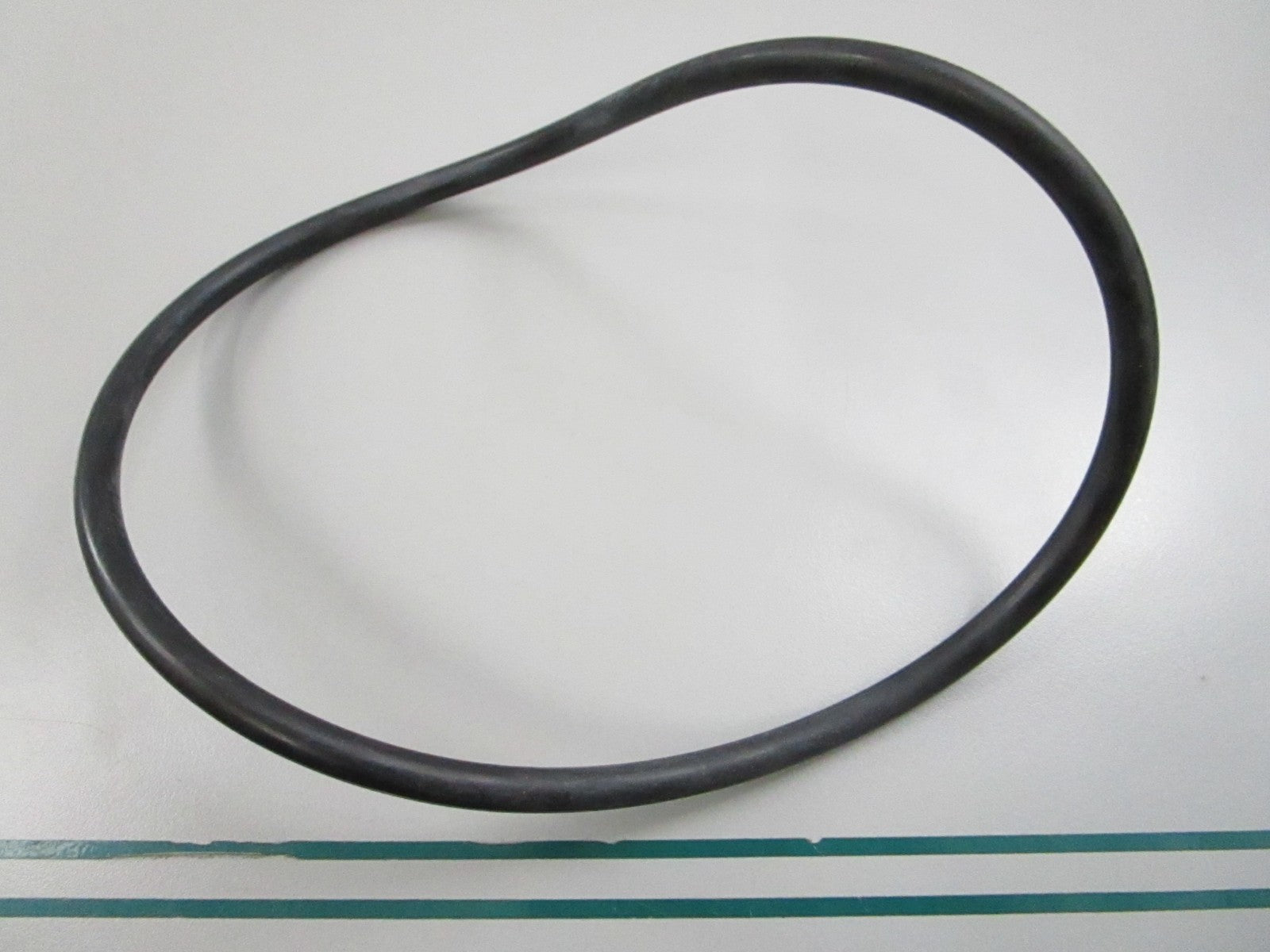 NEW OEM 5410652 Polaris Pump O-Ring 0810